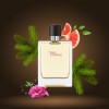 Terre DHermes Edt 100 ml